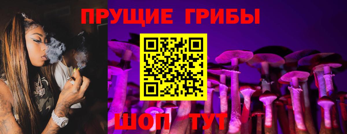 Псилоцибиновые грибы прущие грибы Бахчисарай