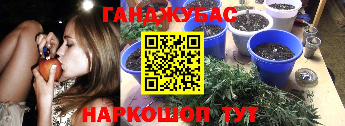 Марихуана план  Канабис индика  Вход с VPN  Марихуана Amnesia  Бахчисарай 